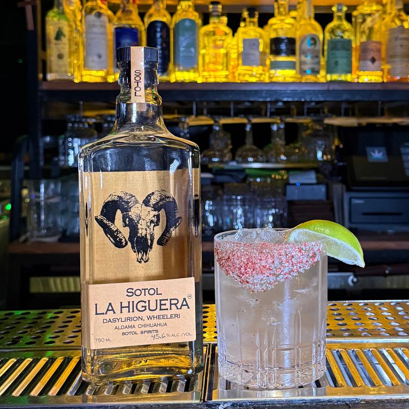 Sotol Margarita photo