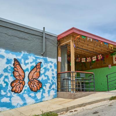 gallery photo number 62