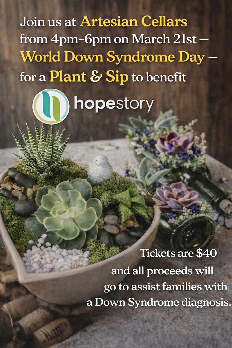 Hope Story Plant & Sip Fundraising Class event photo