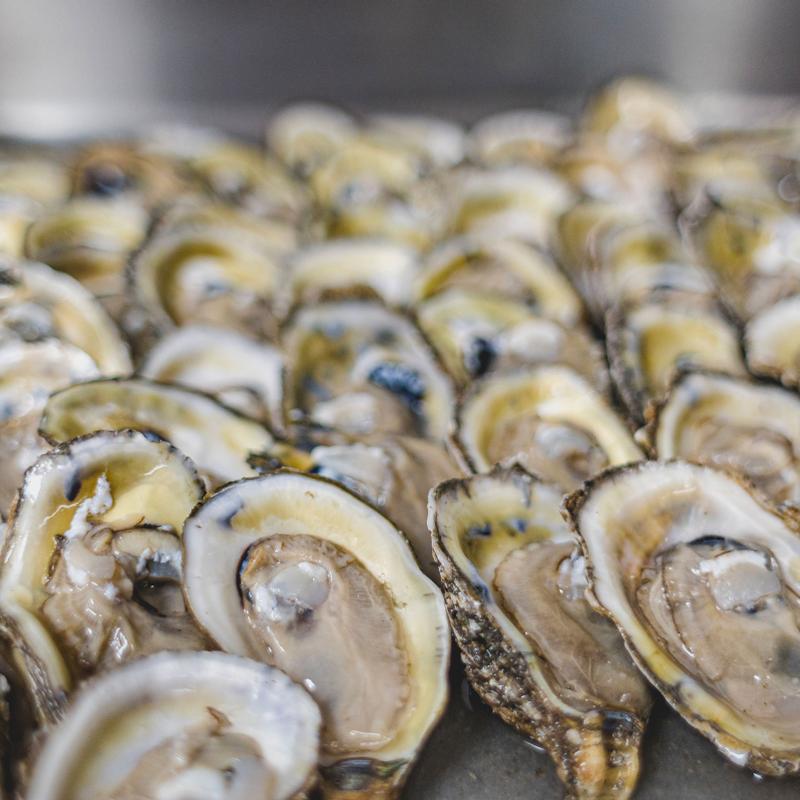 Raw Oysters photo