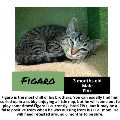 gallery photo number 10