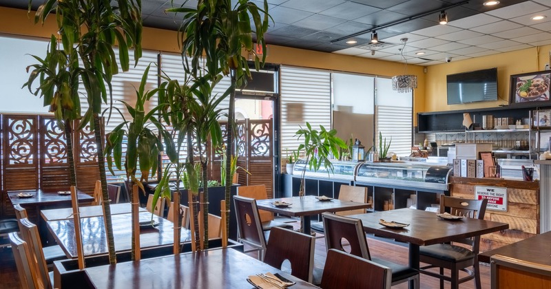 Interior with wooden tables, dracaena plant, counter and food artwork on yellow walls