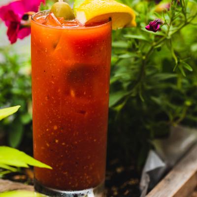 gallery photo number 15