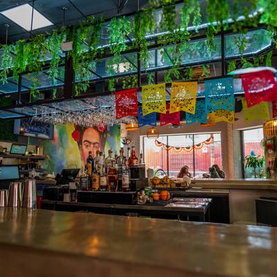 gallery photo number 15