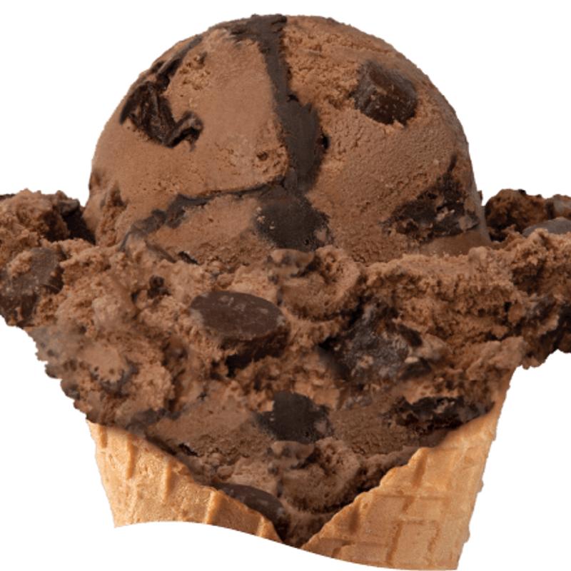 Chocolate Moose Tracks photo