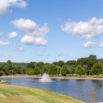 gallery photo number 11