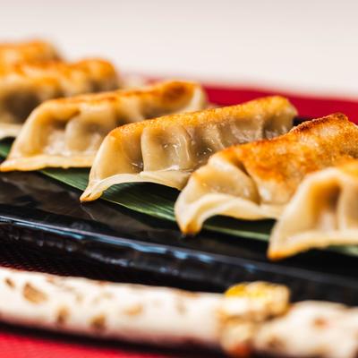 Pork gyoza arranged on a rectangular plate, close-up.