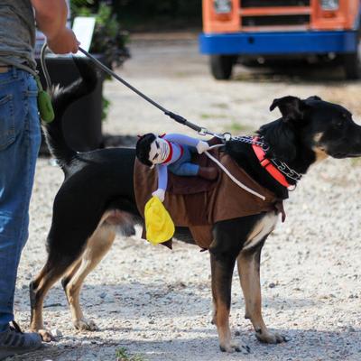 gallery photo number 7