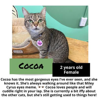 gallery photo number 7