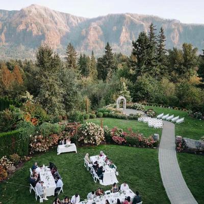 gallery photo number 228