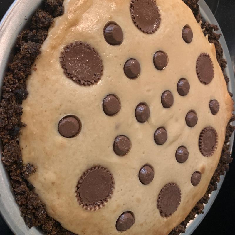 Scratch Made Cheesecake photo