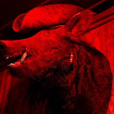 A mounted boar's head wearing a hat under red lighting.
