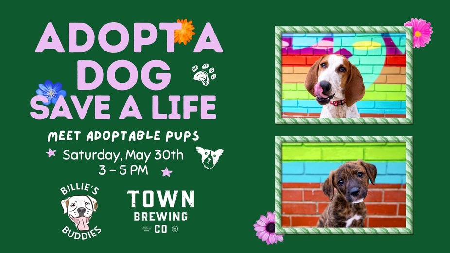 Billie's Buddies Dog Adoption event photo