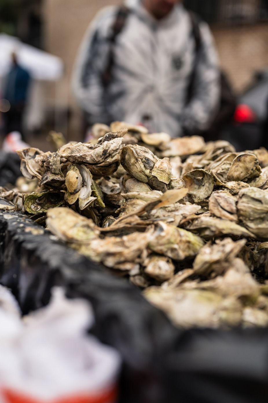 New Year’s Day Oyster Roast + Local Vendor Market event photo