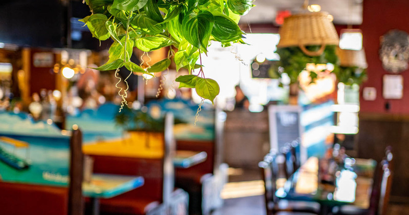 Interior, plant detail