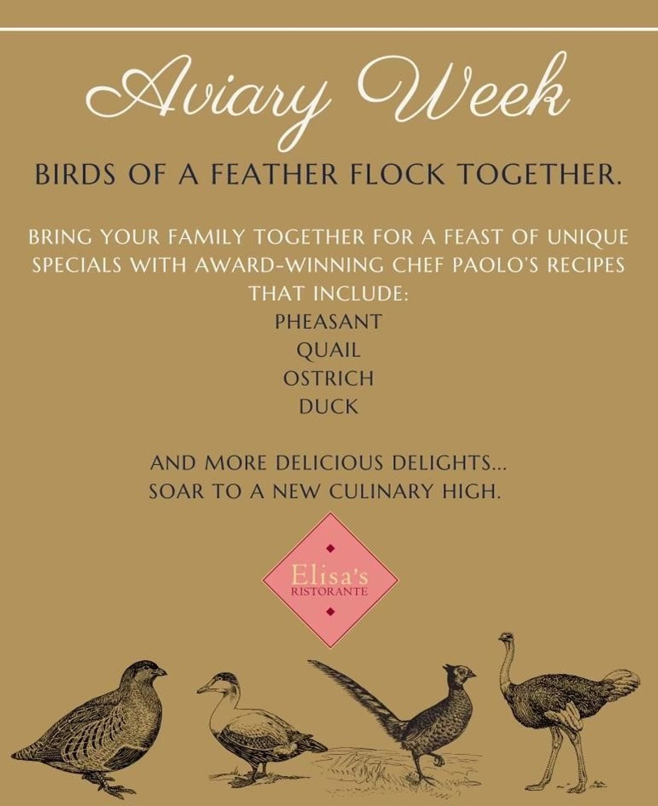 Aviary Week - Nov 20th - 23rd event photo