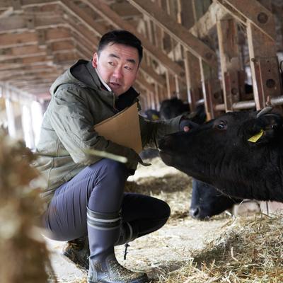 A person in a green jacket crouches, gently touching a cow's head in a barn, the scene conveys care.