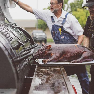 gallery photo number 83