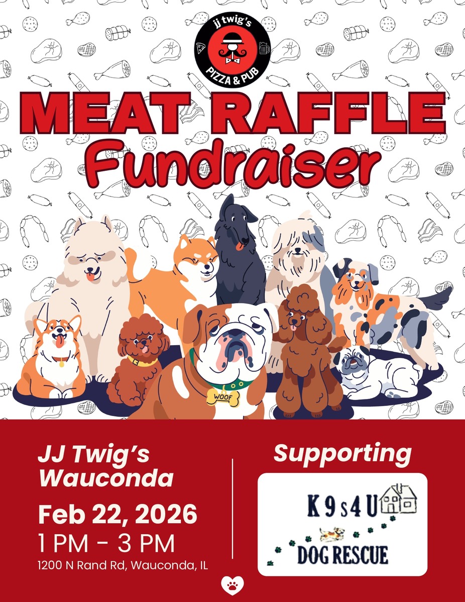 gallery photo number 2