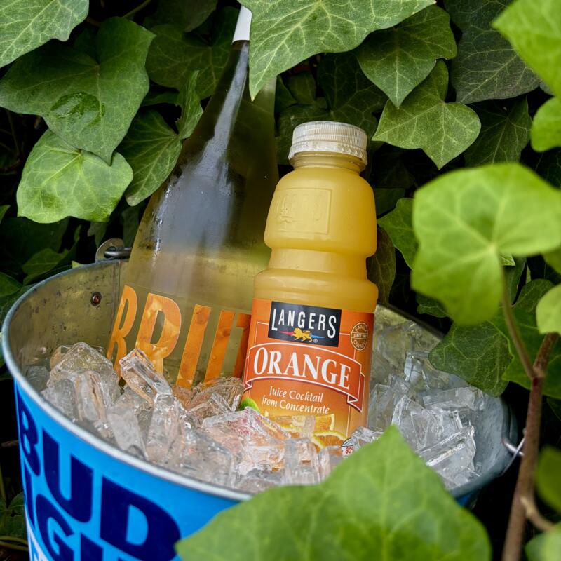Mimosa Bucket photo