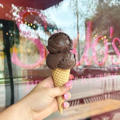 gallery photo number 12