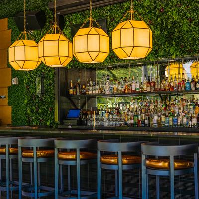 gallery photo number 8