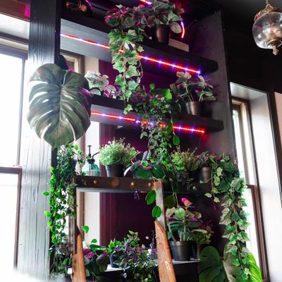 gallery photo number 4