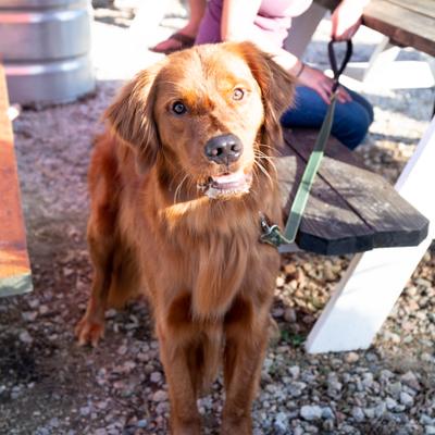 gallery photo number 20