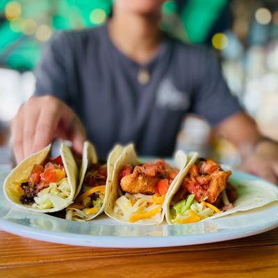 gallery photo number 12