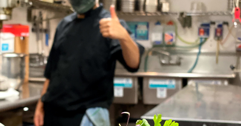 A chef in the kitchen