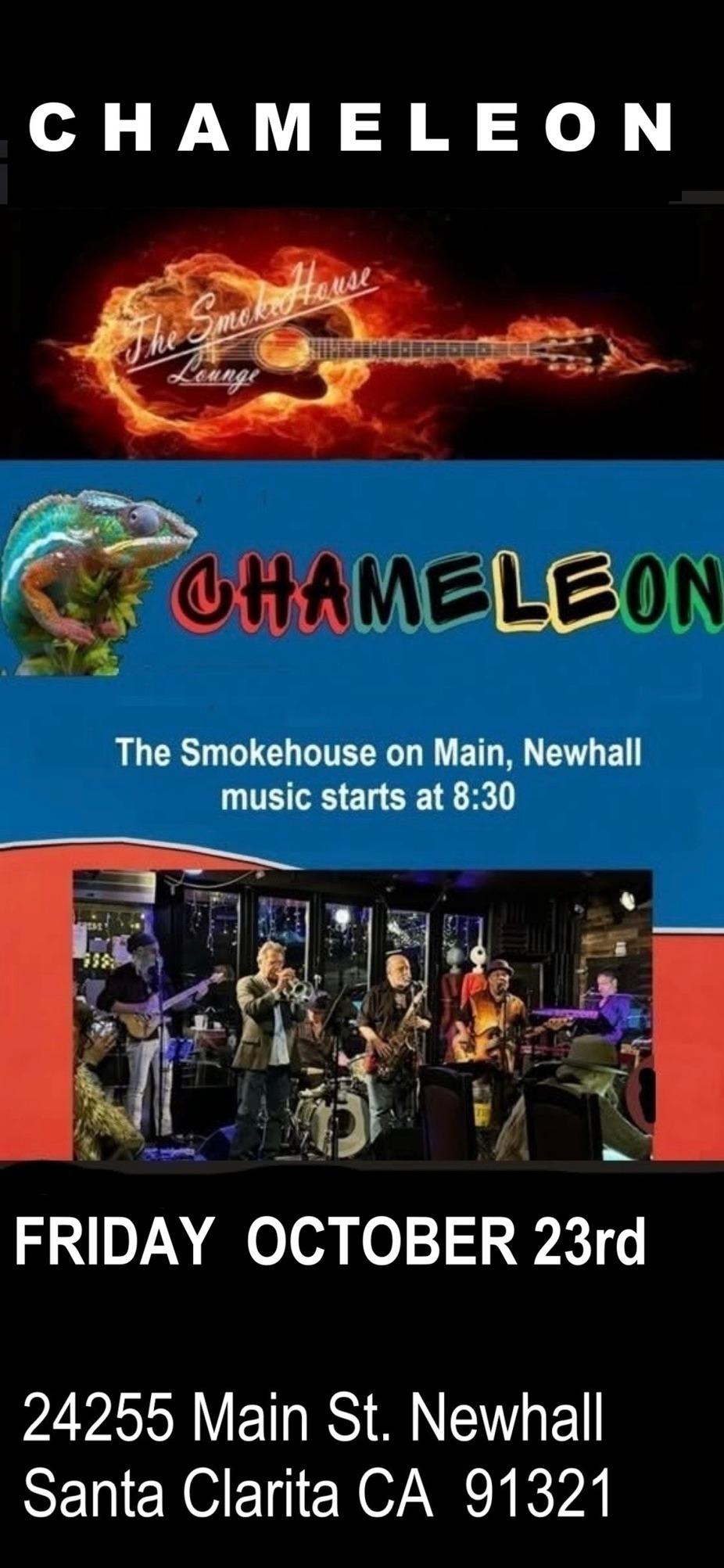 Chameleon event photo