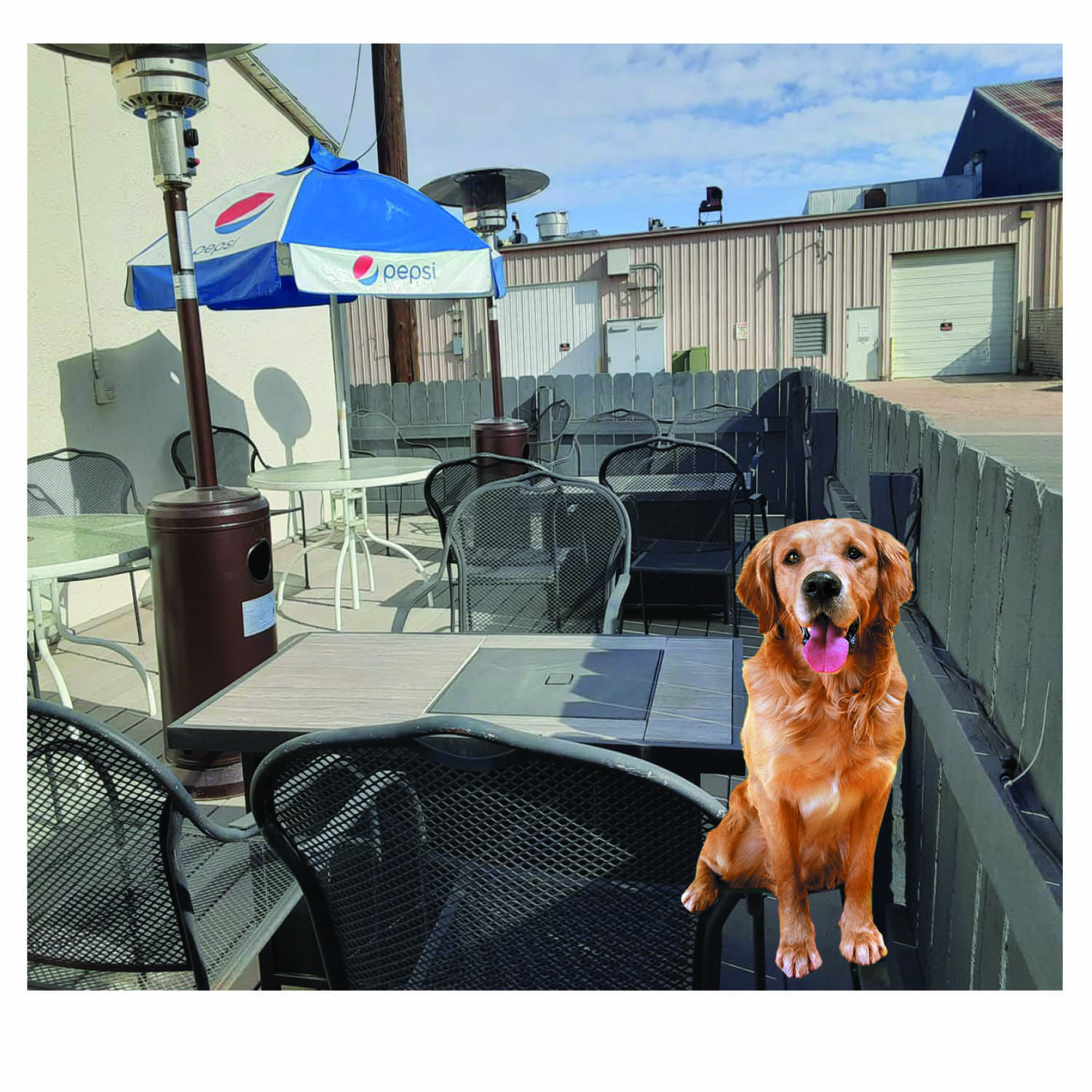 Empire State Pizza Garden City, CO