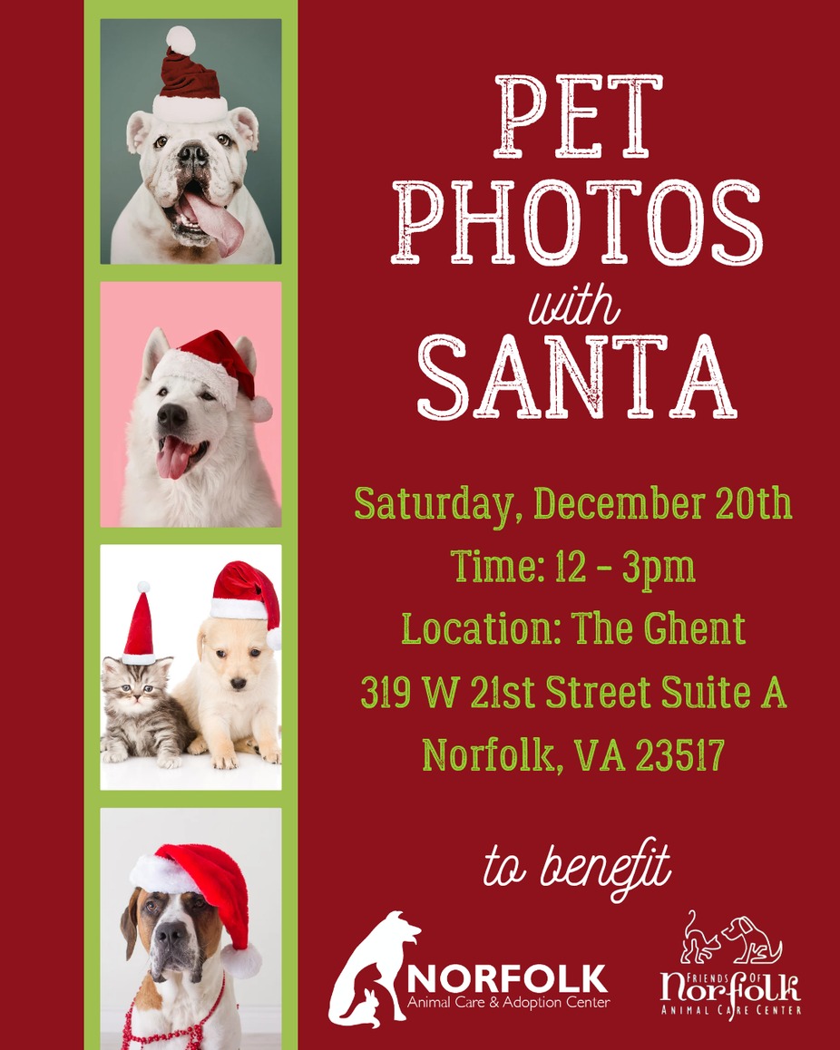 Pet Photos with SANTA event photo