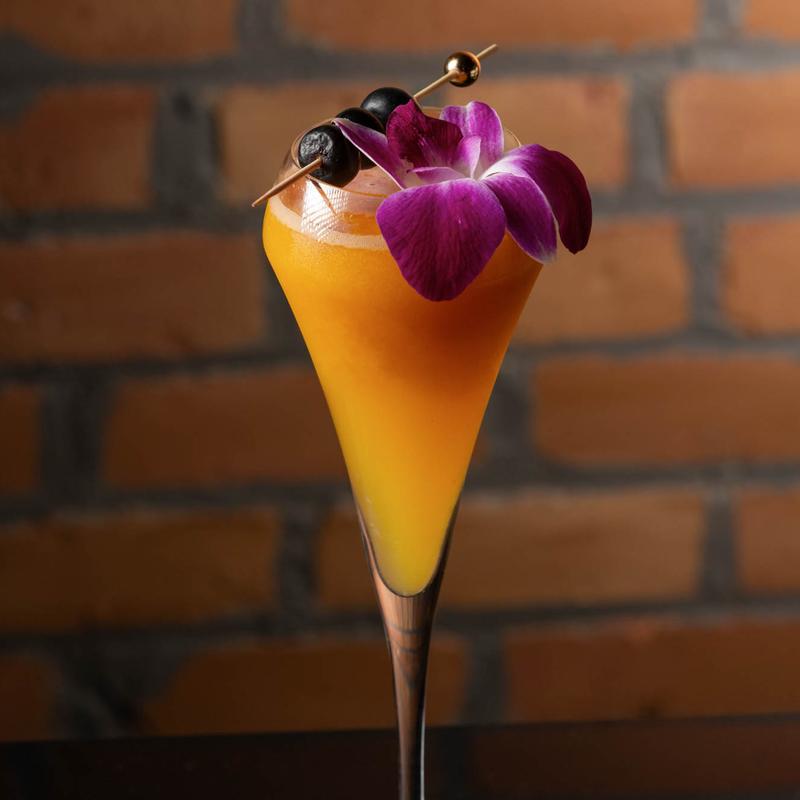 The Rain Forest photo