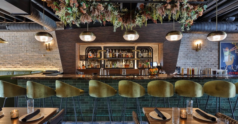 Interior, bar with bar stools, drink shelf behind the bar, foliage ceiling decoration