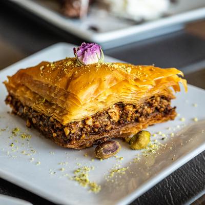 gallery photo number 5