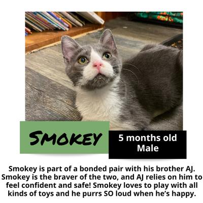 gallery photo number 1