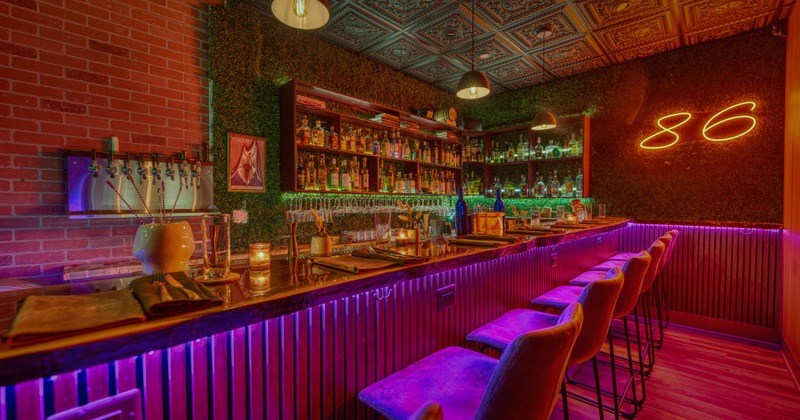 Interior, bar area, live edge wooden top bar with stools, beer taps, large drink shelf