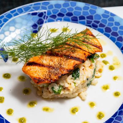 Salmon with fennel garnish and risotto.
