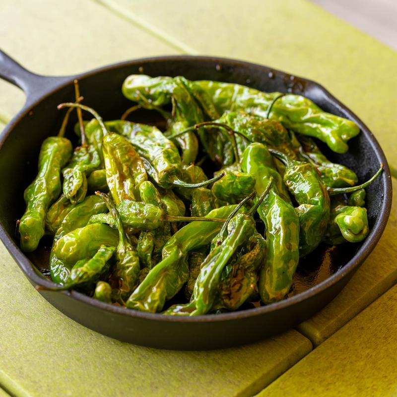 Blistered Shishito Peppers photo