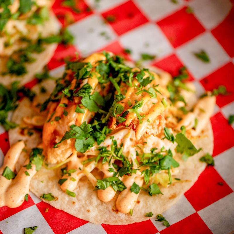 Baja Fish photo