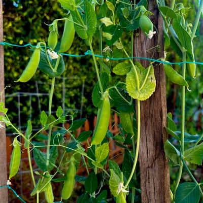 gallery photo number 5