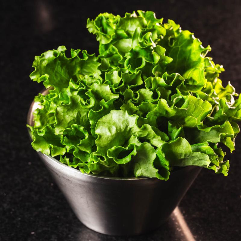 Lettuce to Wrap photo