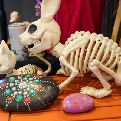 gallery photo number 23