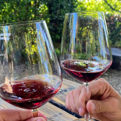 gallery photo number 5