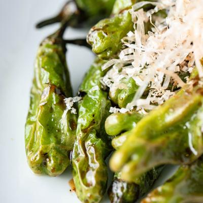 Deep fried shishito peppers sauteed with spicy umami sauce, close up.