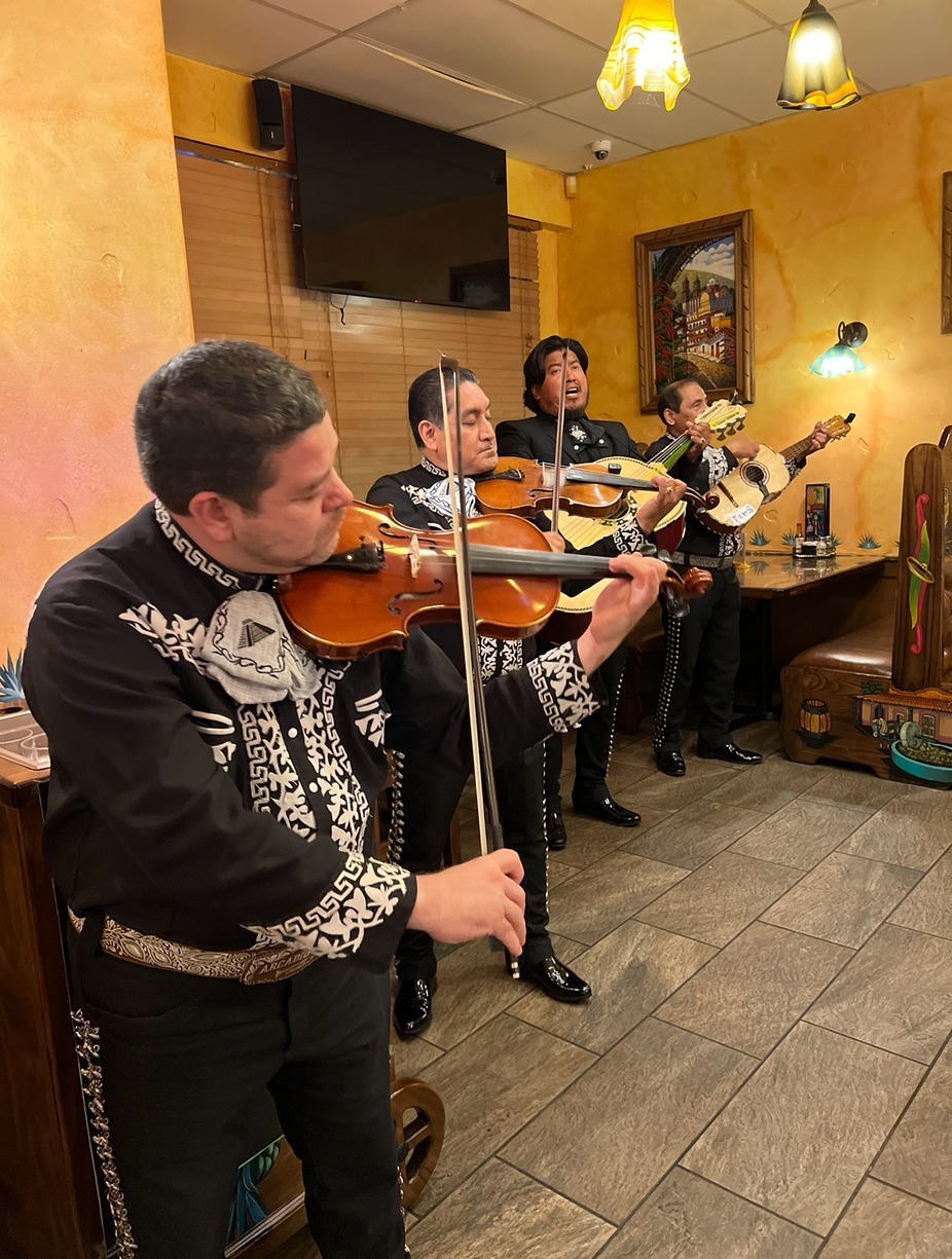 Live Mariachi event photo