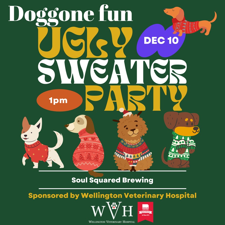 Doggone Ugly Sweater Party event photo