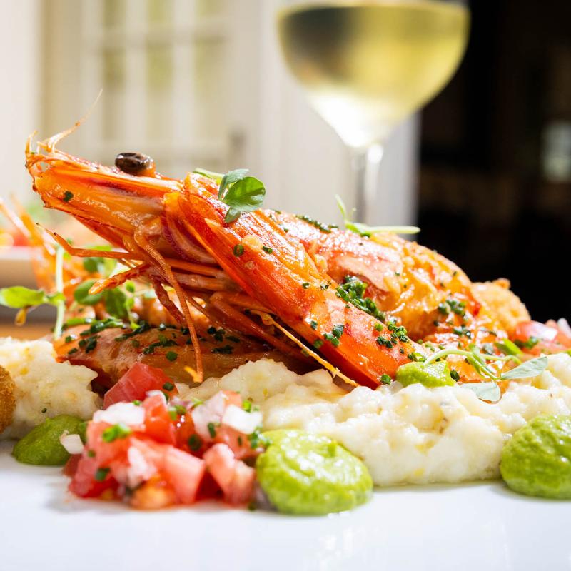 Spanish Octopus photo