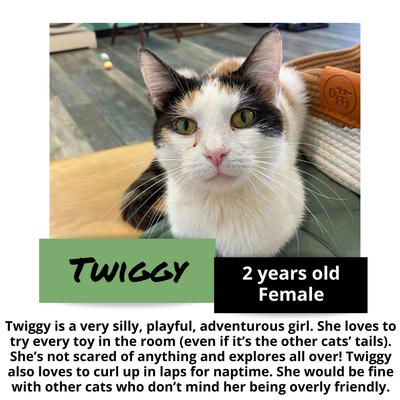 gallery photo number 8